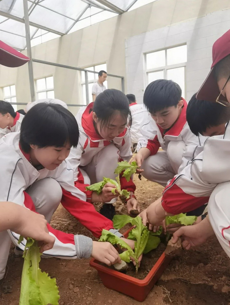 赌球平台推荐