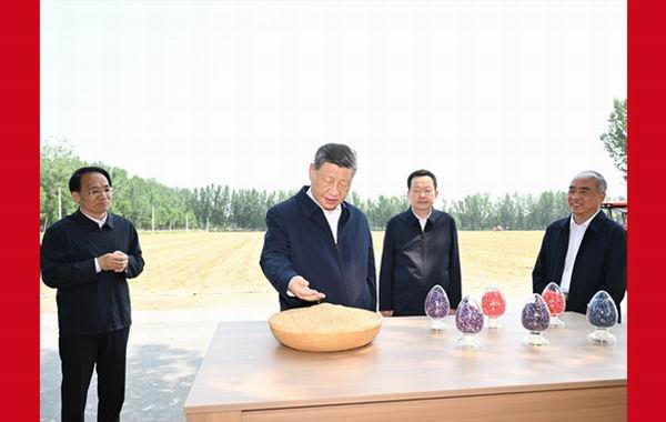 赌球平台推荐