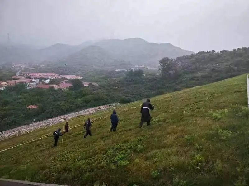 赌球平台推荐