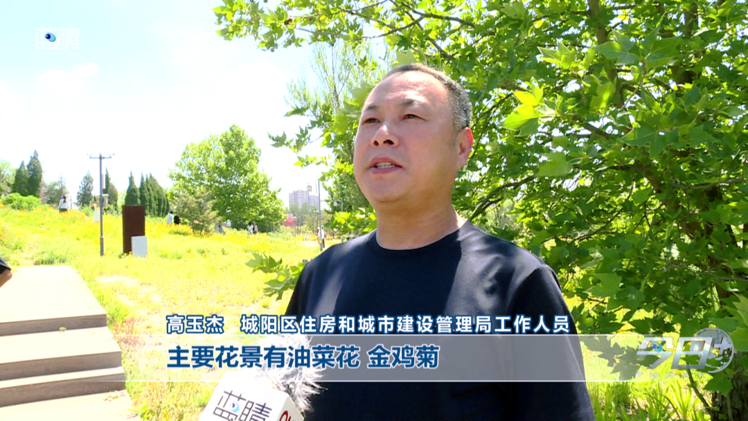 赌球平台推荐