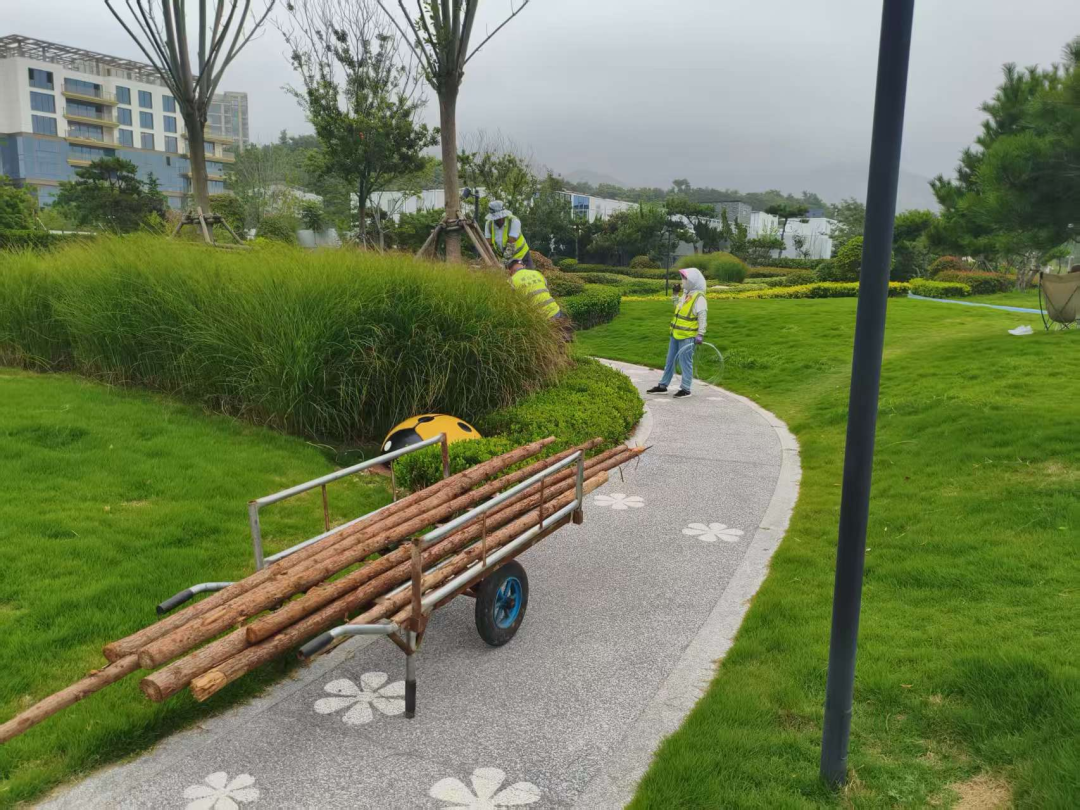 赌球平台推荐