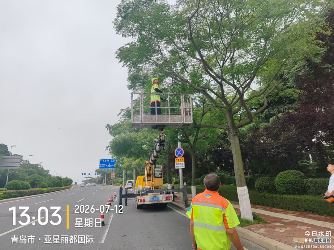 赌球平台推荐
