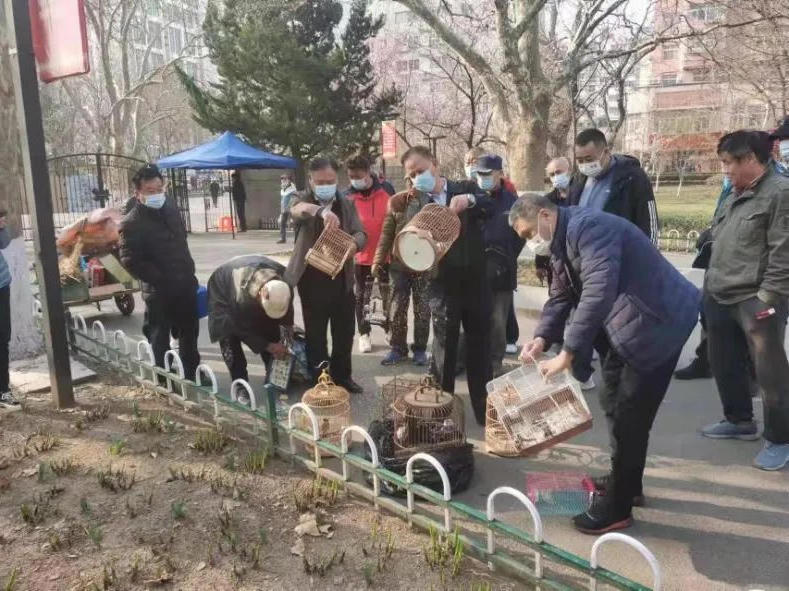 赌球平台推荐
