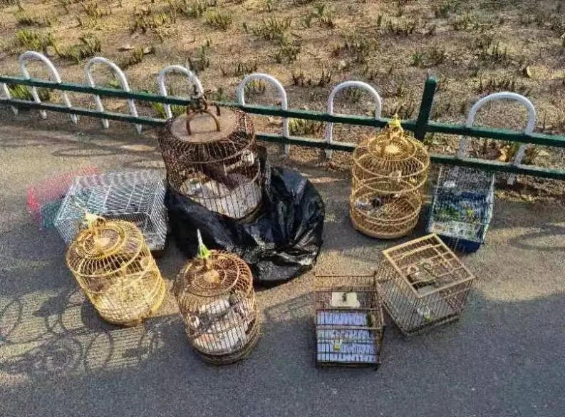 赌球平台推荐
