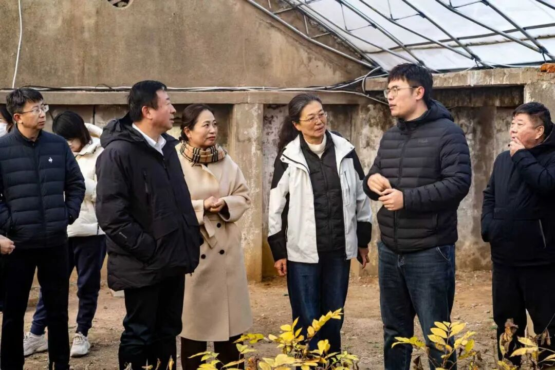 赌球平台推荐