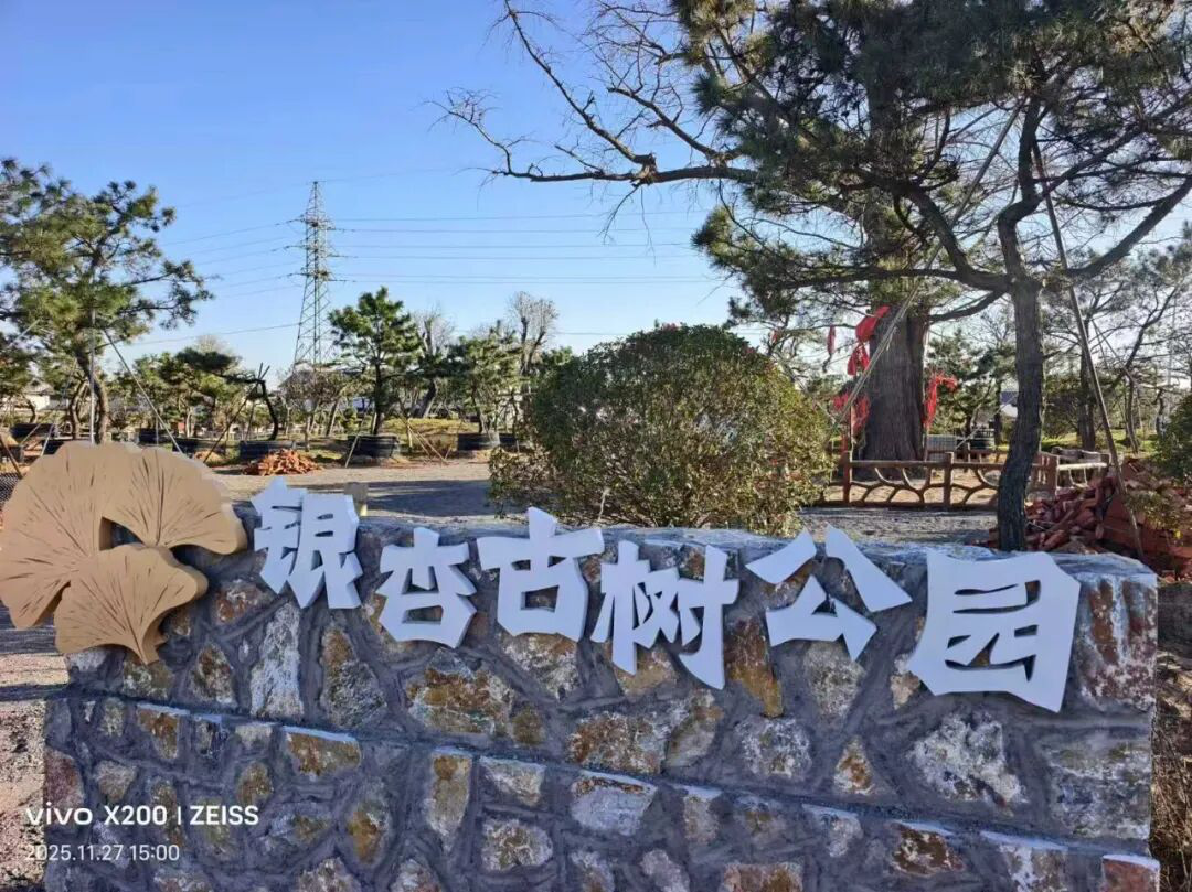 赌球平台推荐