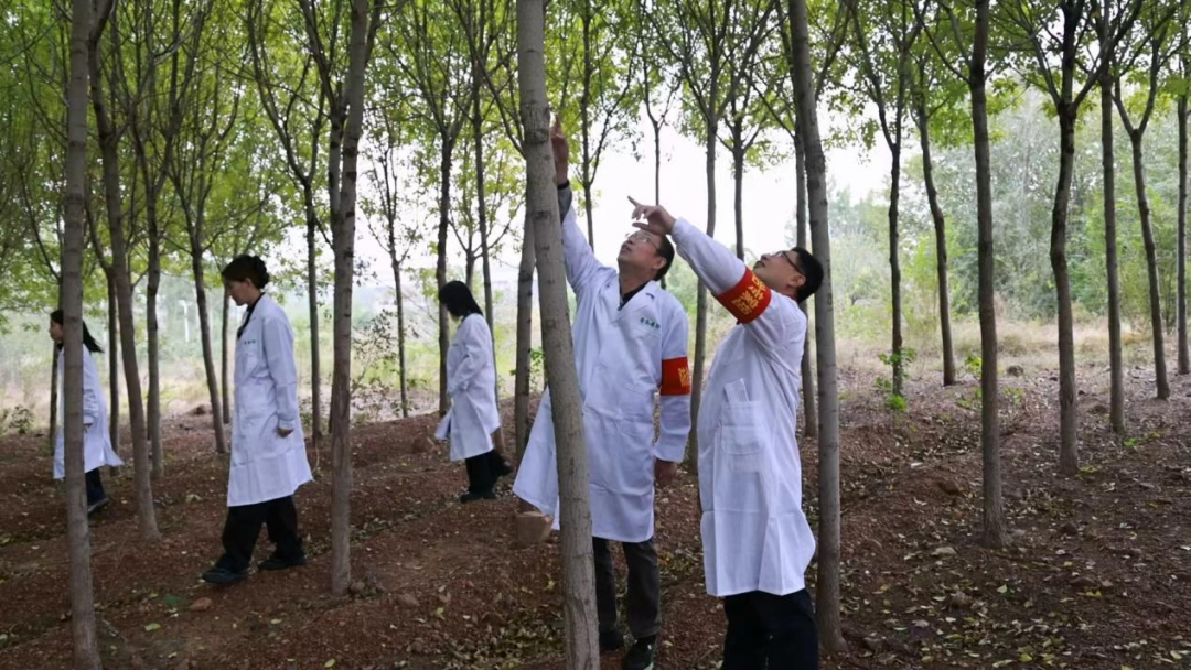 赌球平台推荐