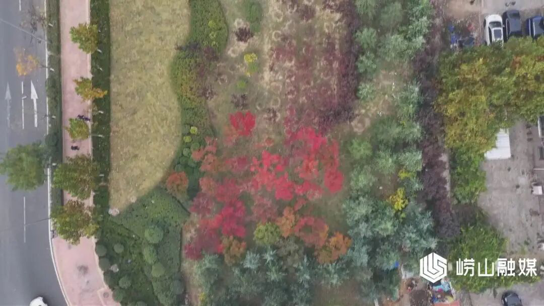 赌球平台推荐
