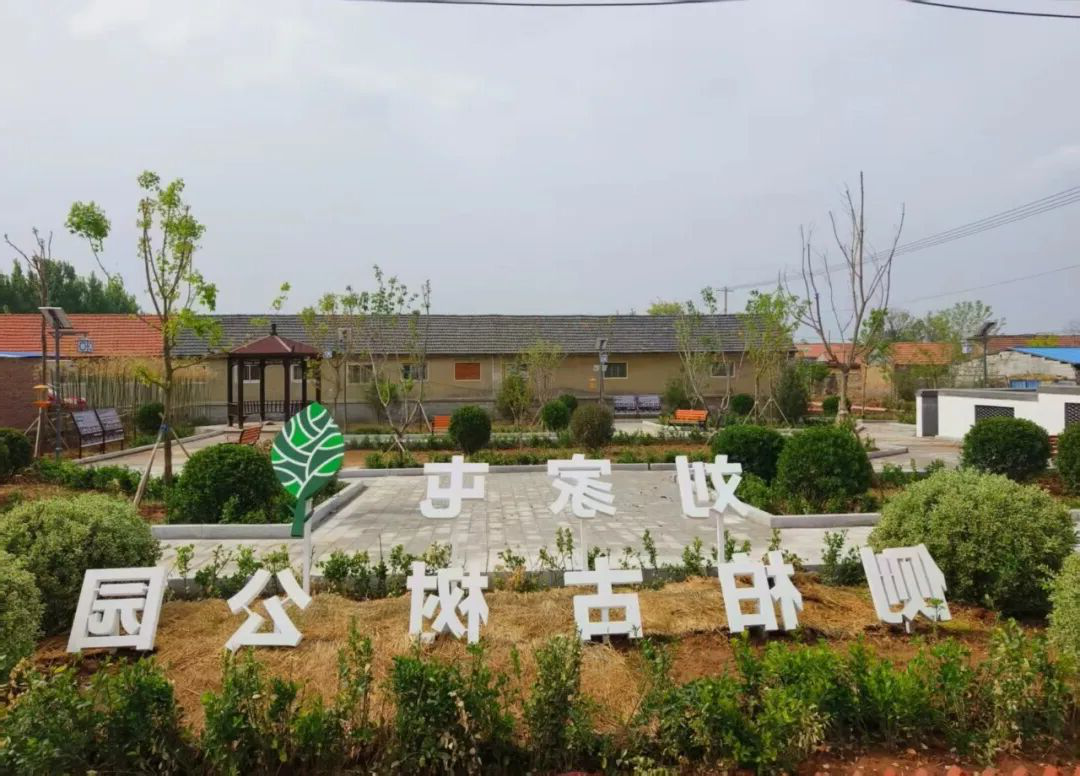 赌球平台推荐