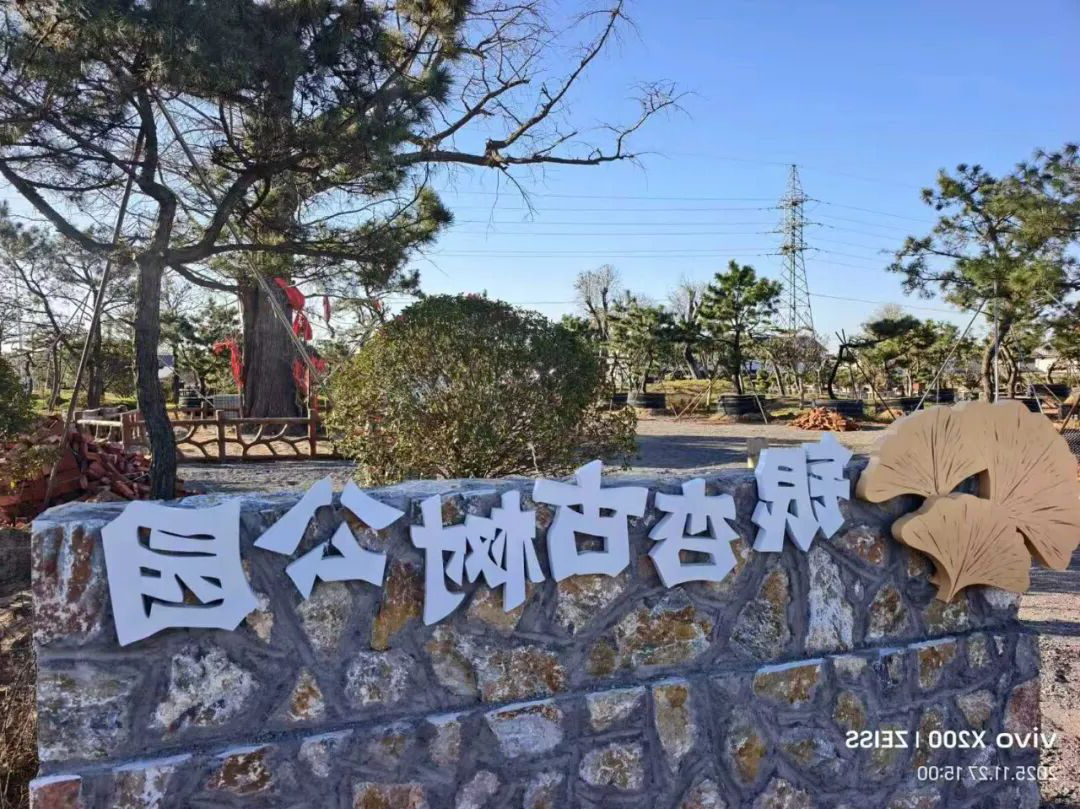 赌球平台推荐