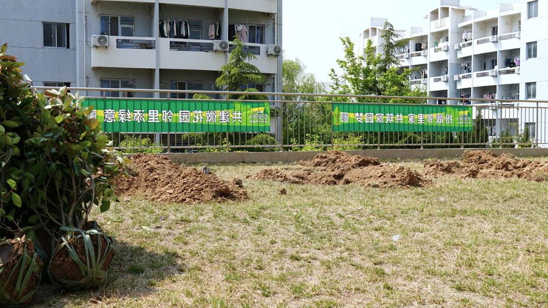 赌球平台推荐