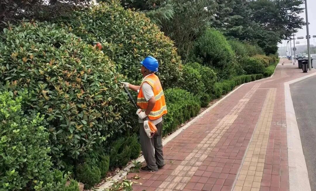 赌球平台推荐