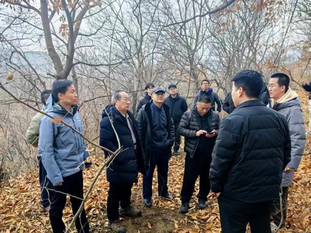 赌球平台推荐